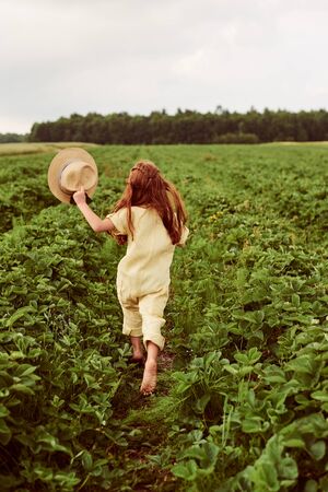 A little beautiful caucasian girl in the green field harvests and eating strawberries having funの写真素材