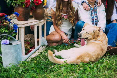 Cropped image portrait of a dog next to people being photographed in a rural setting.の写真素材