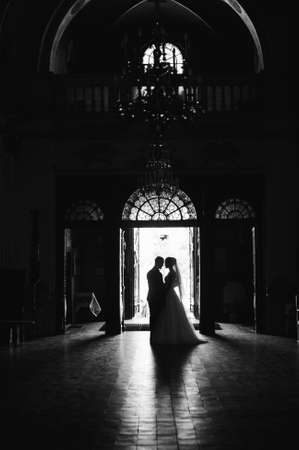 Silhouettes of the bride and groom at the front door indoors.の写真素材