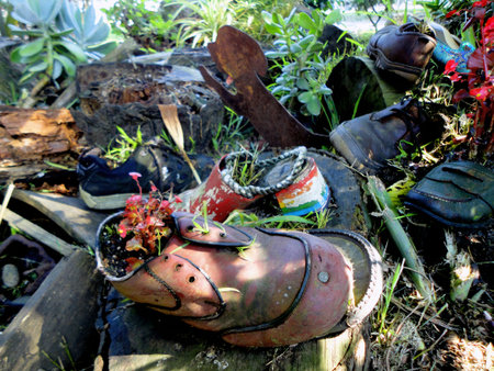 Shoe Gardenの写真素材