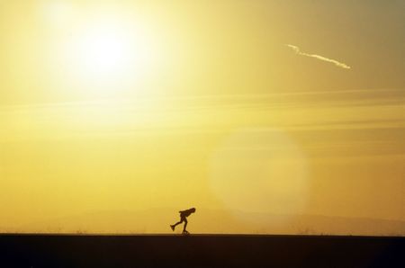 Roller skatingの写真素材