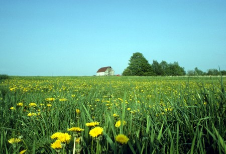Farm, Pennsylvaniaの写真素材