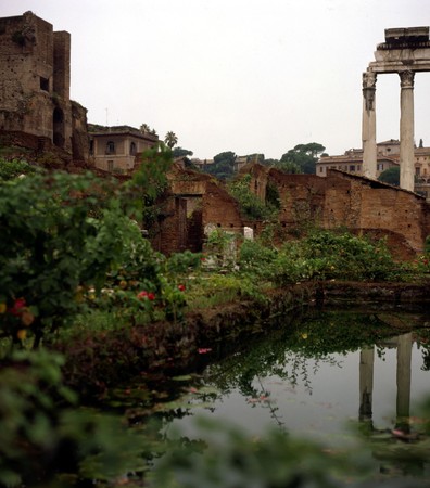 Forum Romanum, Rome, Italyの写真素材