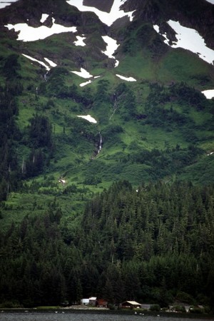 Alaskaの写真素材
