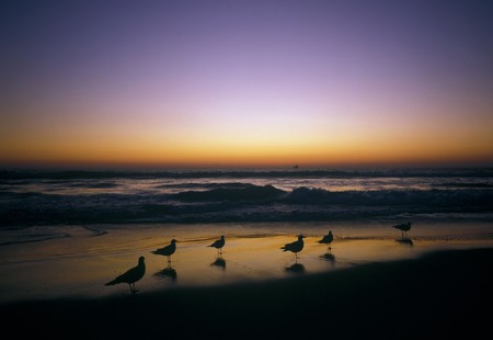 Shoreの写真素材