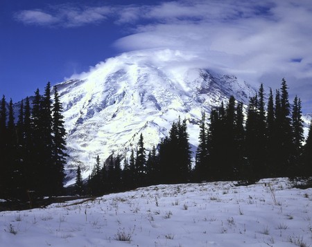 Mt.Rainier, Washingtonの写真素材
