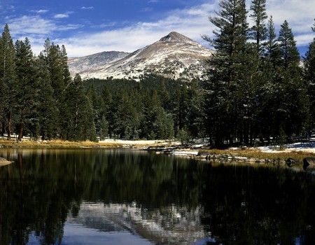 Mt.Gibbs, Yosemite National Park, Californiaの写真素材
