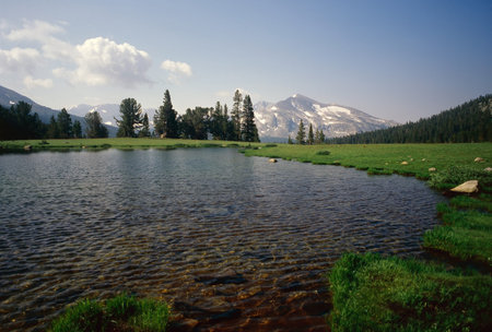 Yosemite National Park