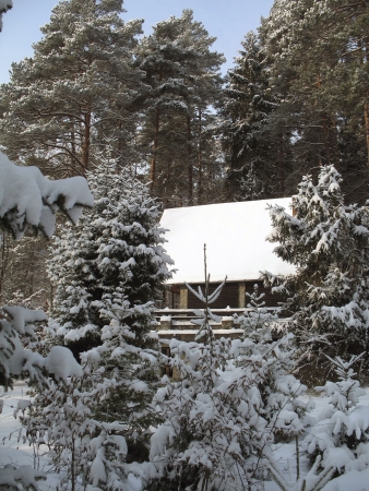 Forest with chalet in winterのeditorial素材