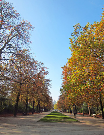 Autumn Park in Brussels, Belgiumの写真素材