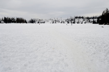 Frozen Lake Strba