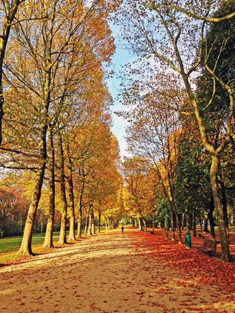 Autumn Park in Brussels, Belgiumの写真素材