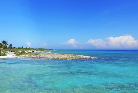 Beach on Coast of Roatanの写真素材