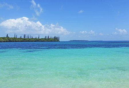 Beach in  New Caledonia