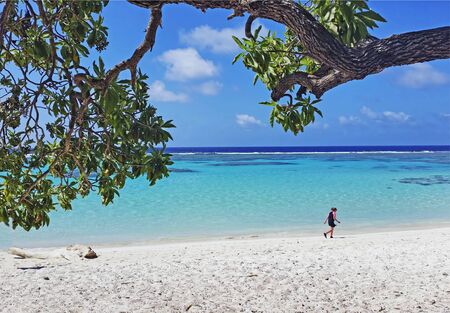 Beach in  New Caledoniaの写真素材