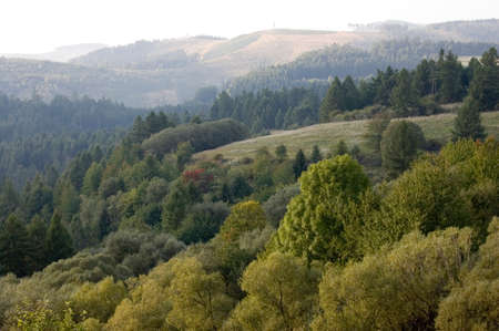 Landscape with Hills and Forest in Slovakiaの写真素材