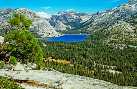 Tenaya Lake in Yosemite National Park, Californiaの写真素材