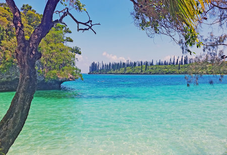 Beach  in New Caledoniaの写真素材