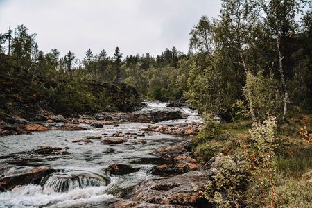 Mountain river with rocks and waterfalls in the forest in Norway