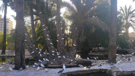 Flock of white perched on palm trees near a tranquil water body, surrounded by lush greenery and...