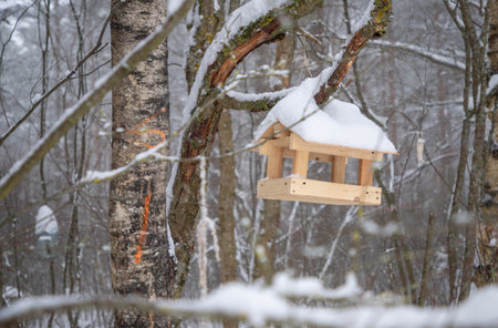Wooden bird feeder hanging from a tree branch, surrounded by snow-covered forest, showcasing winter wildlife habitat and natural beauty in a serene outdoor settingの写真素材