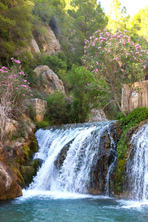 Cascading waterfall flows into serene turquoise pool surrounded by lush greenery and blooming flowers, creating a tranquil natural landscapeの写真素材