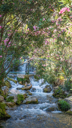 Serene natural landscape featuring a flowing stream surrounded by vibrant pink flowers and lush greenery, creating a peaceful outdoor atmosphereの写真素材