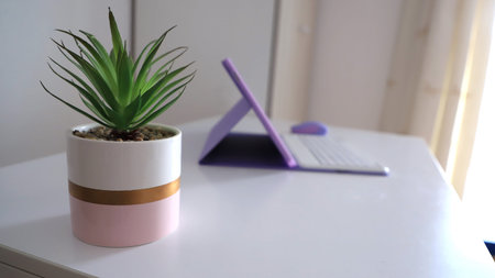 A small plant sits in a pot on a white desk. A tablet rests on its stand nearby. The scene has natural light coming through the window, giving a bright feel to the workspace.の写真素材