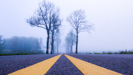 A foggy road to the unknown.