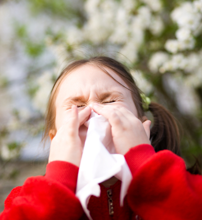 Spring portrait of a little girl is blowing her noseの写真素材