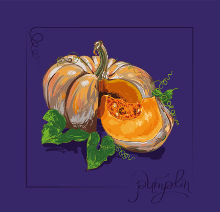 Vector painting of a pumpkin with leaves on a colored backgroundのイラスト素材