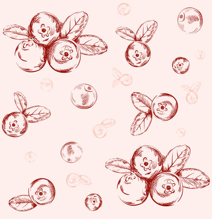 Graphic cranberry seamless pattern on pink backgroundのイラスト素材