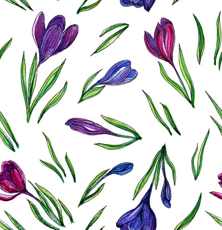 Seamless pattern of watercolor crocuses on a white backgroundの写真素材