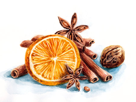 Composition with orange, nut, cinnamon and anise on white backgroundの写真素材