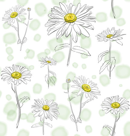 Seamless pattern in a watercolor style of graphic daisies on a white backgroundの写真素材