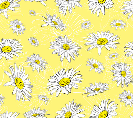 Camomile seamless floral patternのイラスト素材