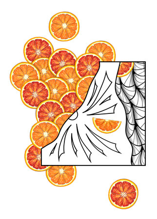 Abstract illustration with hand drawn oranges and graphic patternsの写真素材