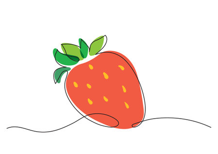 Strawberry decorative minimalist styleのイラスト素材