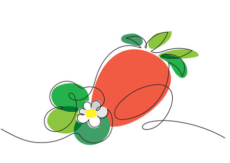 Strawberries with blossoms and leaves, vector clipartのイラスト素材