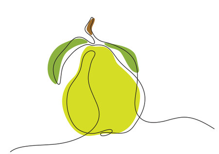 Stylized vector pear with leaves in minimalismのイラスト素材