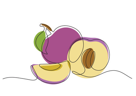 Color illustration in minimalism with plumes in vectorのイラスト素材