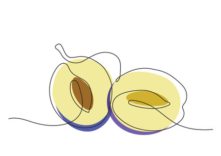 Isolated clip art of cut plums in vector in minimalismのイラスト素材