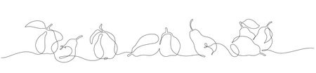 Linear illustration in minimalism with pears in vectorのイラスト素材