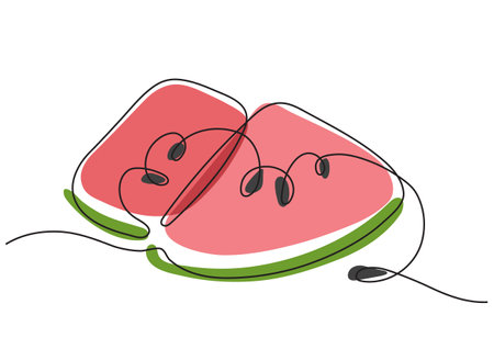 Minimalistic vector drawing of cut watermelon with pitsのイラスト素材