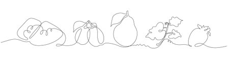 Graphic stylized illustration of fruits in one lineのイラスト素材