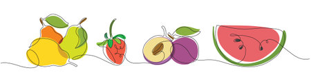 Fruit vector color set using one line and spot techniqueのイラスト素材