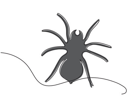 Vector black spider in stylized technique for Halloweenのイラスト素材
