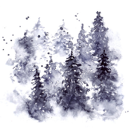 Coniferous forest of fir trees with splashes in a painting techniqueの写真素材