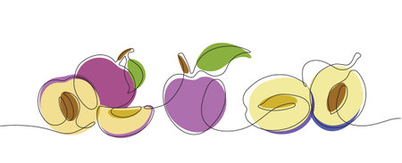 Color clipart with stylized vector plums in one lineのイラスト素材