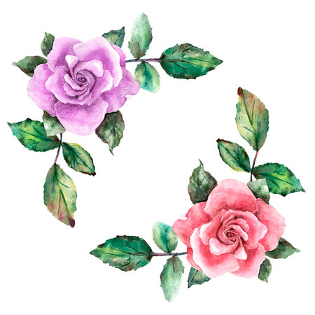 Corner floral clip art with leaves and roses in different colorsの写真素材